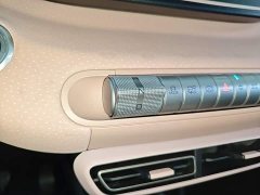 BYD Seagull Glory Edition 305km Freedom Version - ფოტო 14