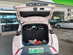 BYD Seagull Glory Edition 305km Freedom Version - ფოტო 19