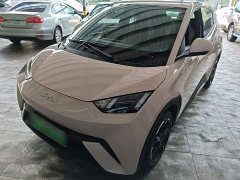 BYD Seagull Glory Edition 305km Freedom Version - ფოტო 2