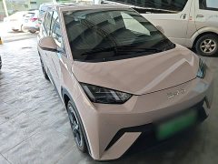 BYD Seagull Glory Edition 305km Freedom Version - ფოტო 4