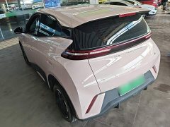 BYD Seagull Glory Edition 305km Freedom Version - ფოტო 5