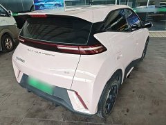 BYD Seagull Glory Edition 305km Freedom Version - ფოტო 7