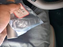 BYD Song Pro New Energy DM-i 71KM Glory Edition Pilot - ფოტო 13