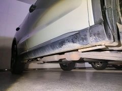 BYD Song Pro New Energy DM-i 71KM Glory Edition Pilot - ფოტო 2