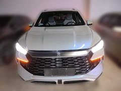 BYD Song Pro New Energy DM-i 71KM Glory Edition Pilot - ფოტო 5
