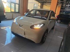 Wuling Binguo 2025 333km Joy Edition - ფოტო 1