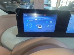 Wuling Binguo 2025 333km Joy Edition - ფოტო 12