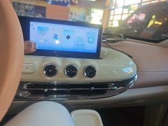 Wuling Binguo 2025 333km Joy Edition - ფოტო 13
