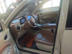 Wuling Binguo 2025 333km Joy Edition - ფოტო 15