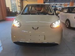 Wuling Binguo 2025 333km Joy Edition - ფოტო 3