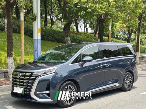 2023 Denza D9 2022 DM-i 970 AWD Flagship - ავტომობილი ჩინეთიდან