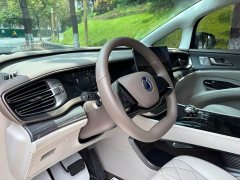 Denza D9 2022 DM-i 970 AWD Flagship - ფოტო 10