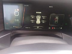 Tank 300 Off-Road Edition 2.0T Challenger - ფოტო 17