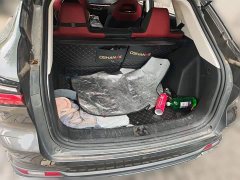 Changan Oushan X5 1.5T DCT Premier - ფოტო 10