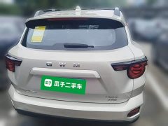 Haval Big Dog PLUS 2026 2.0T AWD Trendy Wilderness Edition - ფოტო 4