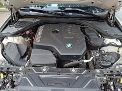 BMW 3 Series Facelift 320Li M Sport Package - ფოტო 11