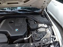 BMW 3 Series Facelift 320Li M Sport Package - ფოტო 20