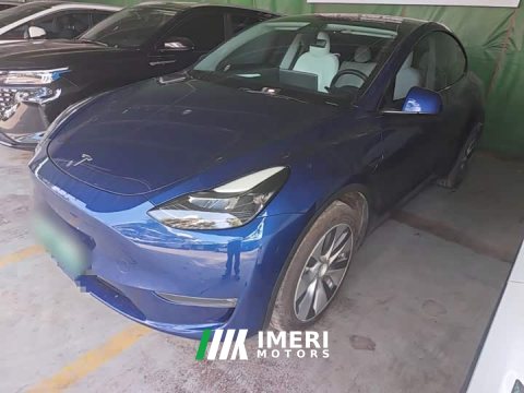 2021 Tesla Model Y Long Range All-Wheel Drive 3D7 - ავტომობილი ჩინეთიდან