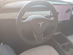 Tesla Model Y Long Range All-Wheel Drive 3D7 - ფოტო 11