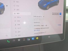 Tesla Model Y Long Range All-Wheel Drive 3D7 - ფოტო 12