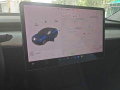 Tesla Model Y Long Range All-Wheel Drive 3D7 - ფოტო 13