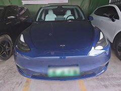 Tesla Model Y Long Range All-Wheel Drive 3D7 - ფოტო 3