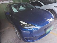 Tesla Model Y Long Range All-Wheel Drive 3D7 - ფოტო 4