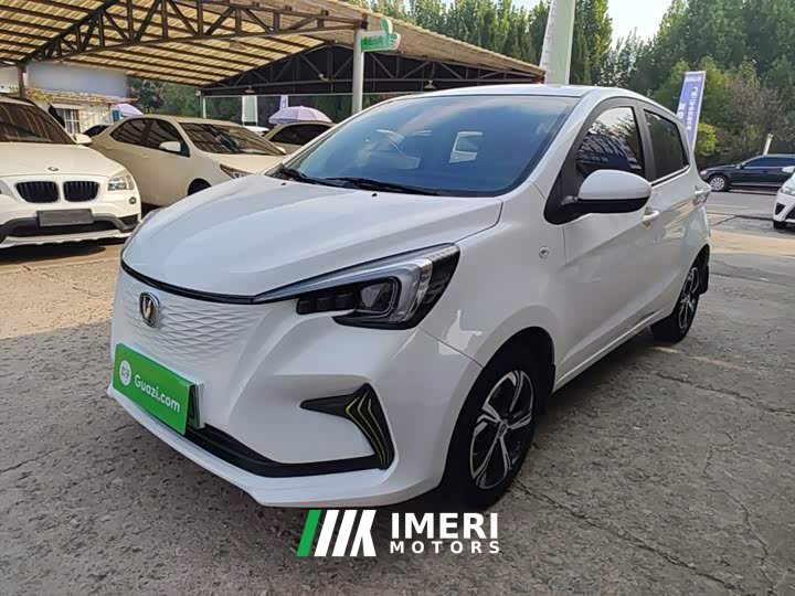 Changan Benben E-Star 2020 Heartbeat Edition Ternary Lithium - ავტომობილი ჩინეთიდან