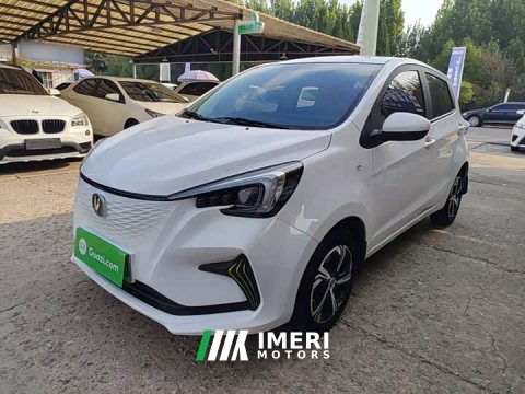 2021 Changan Benben E-Star 2020 Heartbeat Edition Ternary Lithium - ავტომობილი ჩინეთიდან