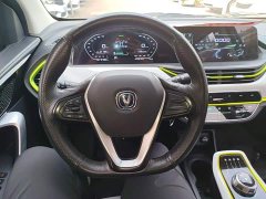 Changan Benben E-Star 2020 Heartbeat Edition Ternary Lithium - ფოტო 11