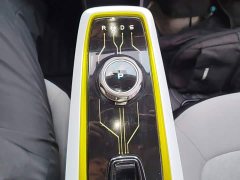 Changan Benben E-Star 2020 Heartbeat Edition Ternary Lithium - ფოტო 14