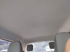 Changan Benben E-Star 2020 Heartbeat Edition Ternary Lithium - ფოტო 18