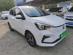 Changan Benben E-Star 2020 Heartbeat Edition Ternary Lithium - ფოტო 4