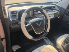 Wuling Hongguang MINIEV Macaron Fashion Edition LFP Battery - ფოტო 10