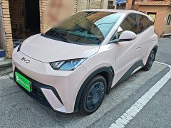 BYD Seagull Glory Edition 305km Vitality Version - ფოტო 1