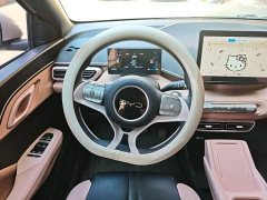 BYD Seagull Glory Edition 305km Vitality Version - ფოტო 11