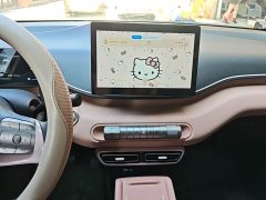 BYD Seagull Glory Edition 305km Vitality Version - ფოტო 13