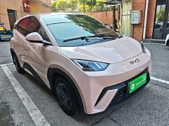 BYD Seagull Glory Edition 305km Vitality Version - ფოტო 4