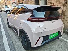 BYD Seagull Glory Edition 305km Vitality Version - ფოტო 5