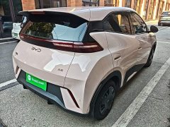 BYD Seagull Glory Edition 305km Vitality Version - ფოტო 7