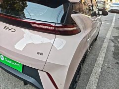 BYD Seagull Glory Edition 305km Vitality Version - ფოტო 8