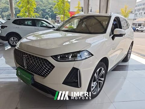 2022 Great Wall Macchiato DHT 2021 1.5L DHT Master Edition - ავტომობილი ჩინეთიდან