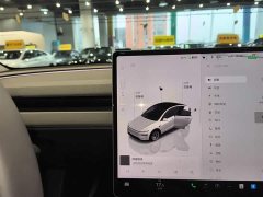 Tesla Model Y Rear-Wheel Drive - ფოტო 10
