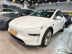 Tesla Model Y Rear-Wheel Drive - ფოტო 2