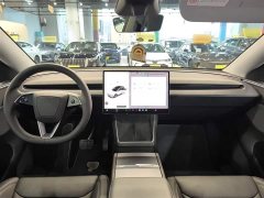 Tesla Model Y Rear-Wheel Drive - ფოტო 6