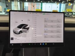 Tesla Model Y Rear-Wheel Drive - ფოტო 8
