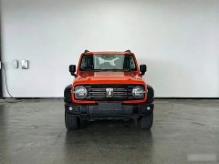 Tank 300 2.0T Gasoline Conqueror - ფოტო 6