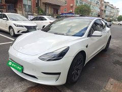 Tesla Model 3 Standard Range RWD Upgrade - ფოტო 2