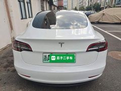 Tesla Model 3 Standard Range RWD Upgrade - ფოტო 4