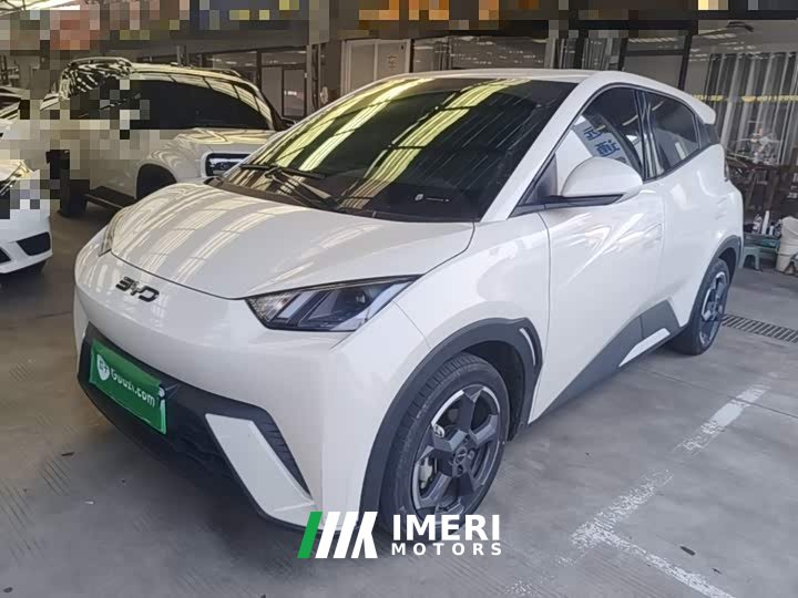 BYD Seagull Glory Edition 305km Freedom Version - ავტომობილი ჩინეთიდან